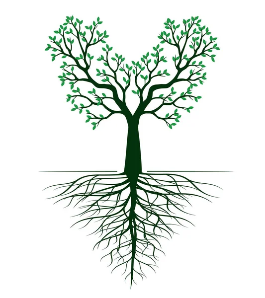 Tvar Zeleného Stromu Listy Kořeny Vektorový Přehled Ilustrace Rostlina Zahradě — Stockový vektor