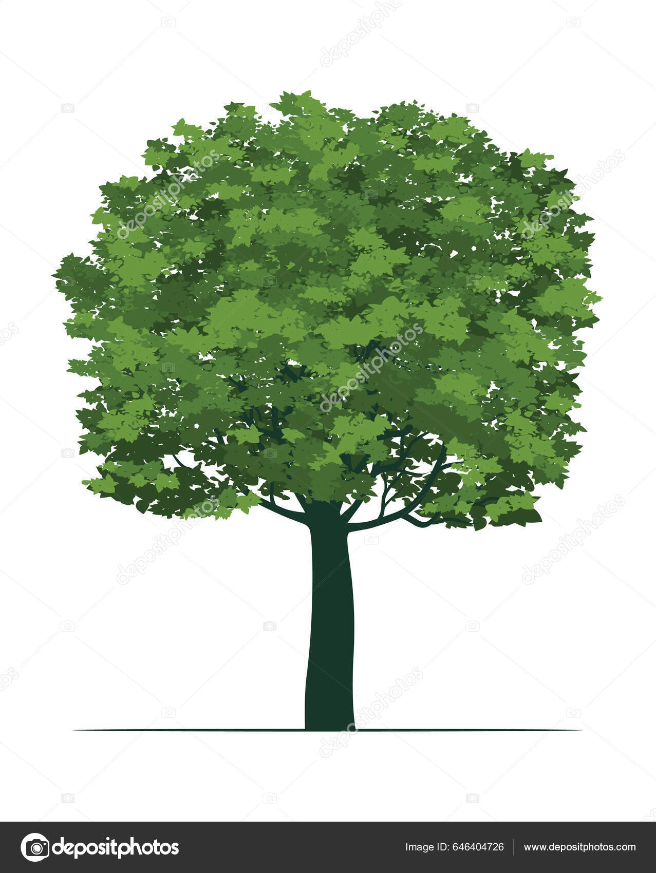 Árbol Verde Con Hojas Esquema Vectorial Ilustración Vector De Stock 646404726 De ©rolandtopor 7283