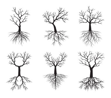 Köklü bir siyah ağaç seti. Vektör taslağı çizimi. Bahçede Bitki.
