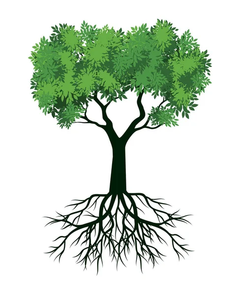 葉と根を持つ春の木 ベクターアウトラインイラスト — ストックベクタ