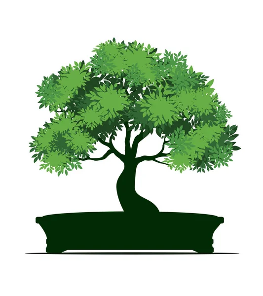 Kształt Wiosennego Drzewa Liśćmi Doniczce Zarys Wektora Ilustracja Roślina Ogrodzie — Wektor stockowy