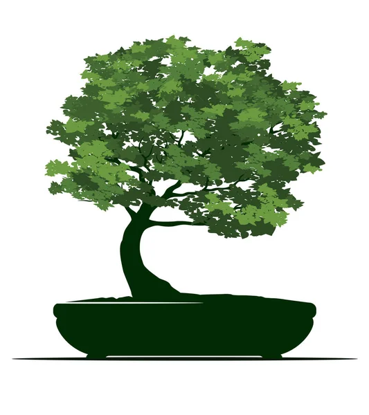 Форма Весняного Дерева Листям Горщику Векторний Контур Ілюстрація Рослина Саду — стоковий вектор