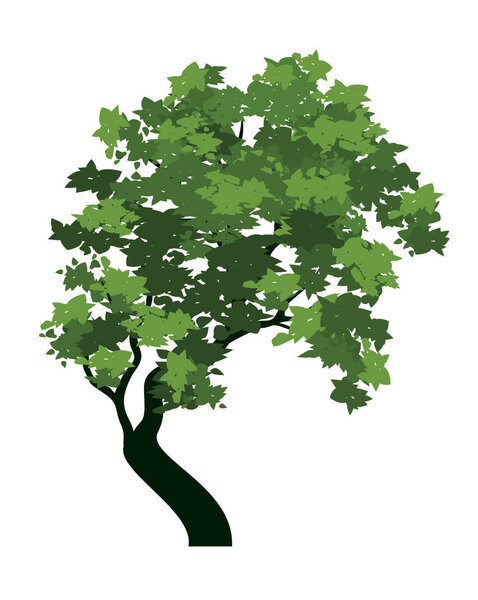 Green sloping Tree with Leaves. Vector outline Illustration.