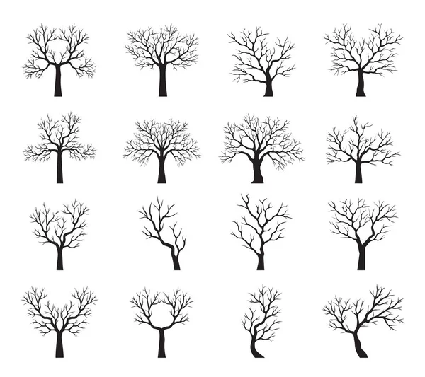 Kształt Starego Czarnego Drzewa Bez Liści Zarys Wektora Ilustracja Roślina — Wektor stockowy