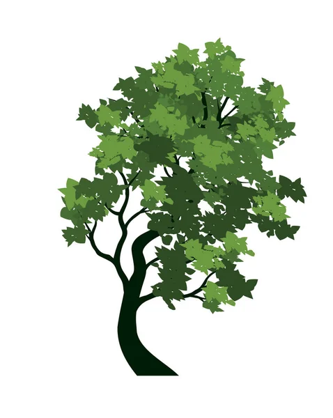 Árvore Verde Com Folhas Esboço Vetor Ilustração —  Vetores de Stock