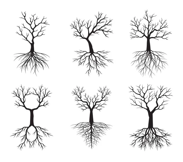 Set Black Tree Roots Vector Outline Illustration Plant Garden — Stock Vector