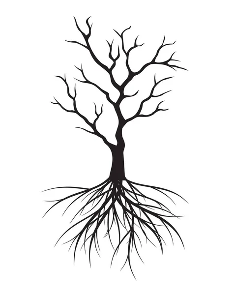 Black Tree Roots Vector Outline Illustration — Stock Vector
