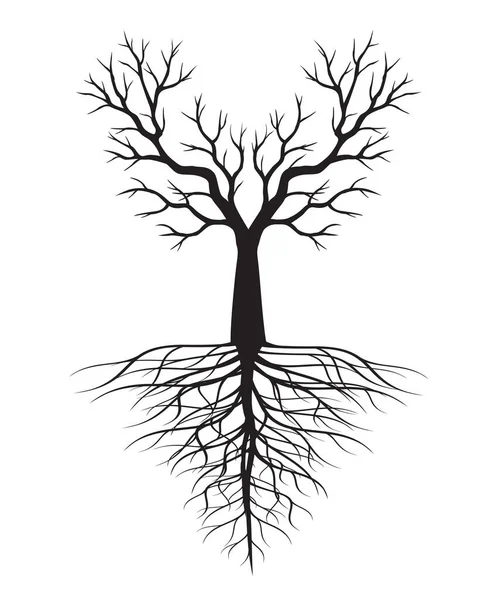 Black Tree Roots Vector Outline Illustration — Διανυσματικό Αρχείο