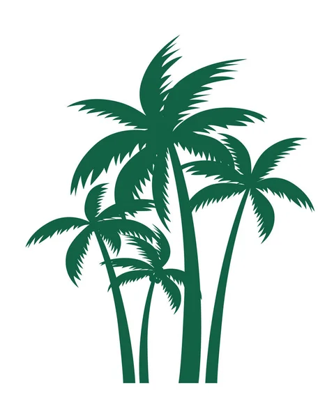 Ponga Palmeras Verdes Esquema Vectorial Ilustración Planta Jardín — Archivo Imágenes Vectoriales