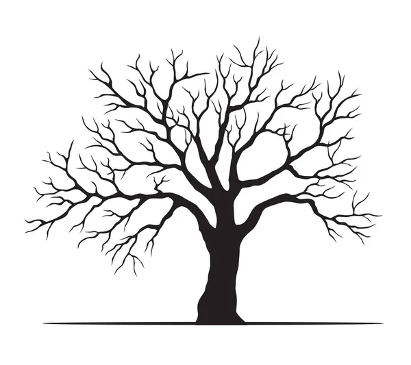 Форма Старого Черного Дерева Листьями Векторный Контур Иллюстрации Посадить Саду — стоковый вектор