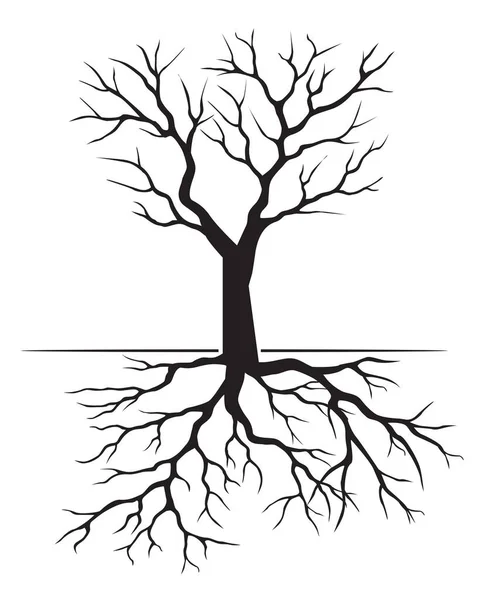Black Tree Roots Vector Outline Illustration — Stock Vector