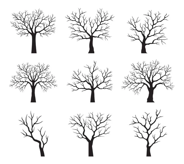 Kształt Starego Czarnego Drzewa Bez Liści Zarys Wektora Ilustracja Roślina — Wektor stockowy