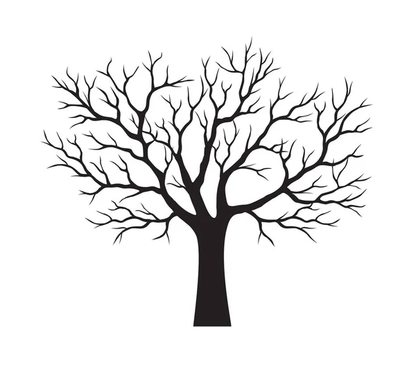 Форма Старого Черного Дерева Листьями Векторный Контур Иллюстрации Посадить Саду — стоковый вектор
