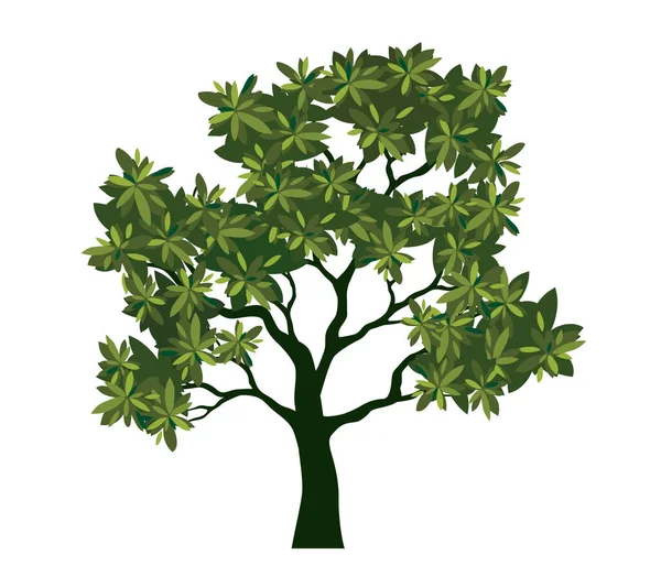 Forma Árvore Verde Com Folhas Ilustração Vetorial Isolada Planta Jardim —  Vetores de Stock