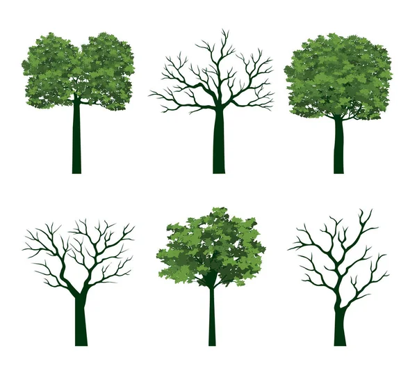 Voorjaarsboom Vol Groene Bladeren Vector Illustratie Stockvector