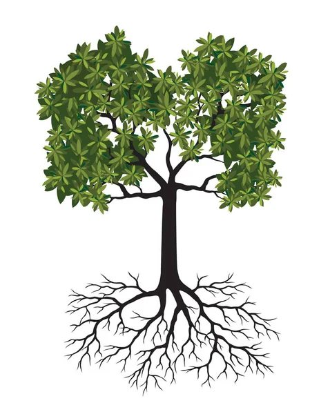 Gröna Trädet Med Rötter Vektoröversikt Illustration Stockvektor
