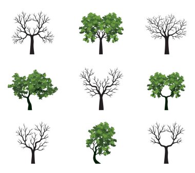 Yeşil Ağaçlar 'ın şekli. Vektör taslağı çizimi. Bahçede Bitki.