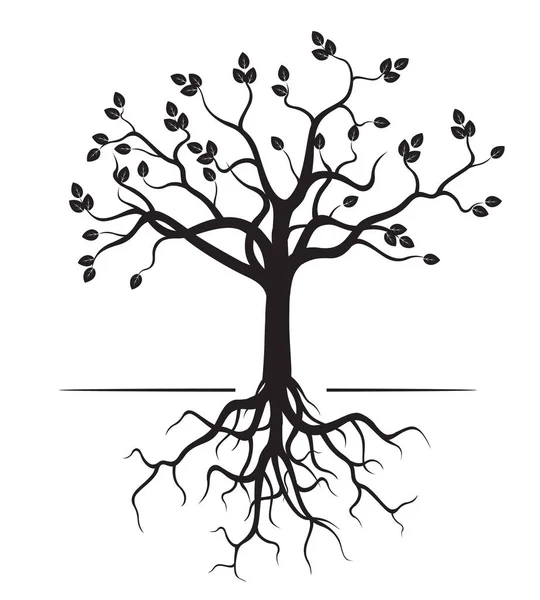 Μαύρο Διανυσματικό Δέντρο Ρίζες Εικόνα Περίγραμμα — Διανυσματικό Αρχείο