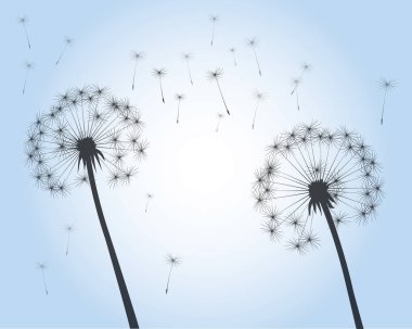 Uçan tohumlar. Mavi gökyüzünde karahindiba çiçeği. Vektör özet çizimi.