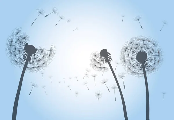 Uçan Tohumlar Mavi Gökyüzünde Karahindiba Çiçeği Vektör Özet Çizimi — Stok Vektör