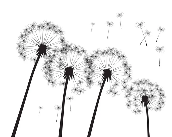 空飛ぶ種 白いタンポポの花 ベクトルアウトライン図 — ストックベクタ