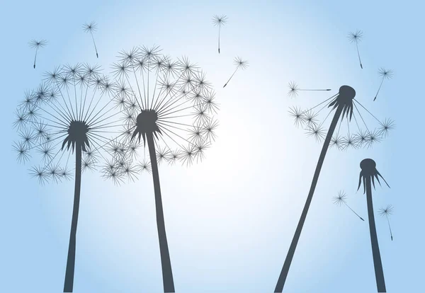 Flying Seeds Dandelion Flower Blue Sky Vector Outline Illustration — Stock Vector