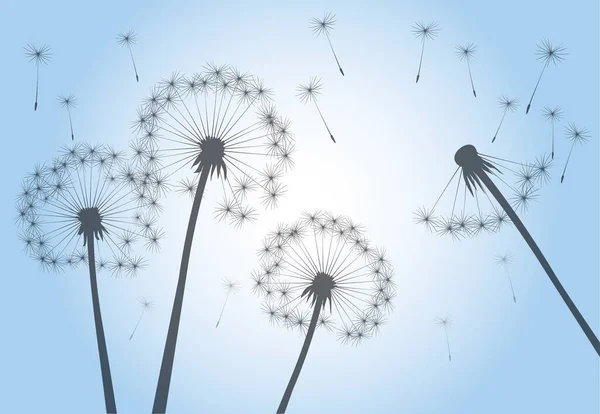 空飛ぶ種 青空にタンポポの花 ベクトルアウトライン図 — ストックベクタ