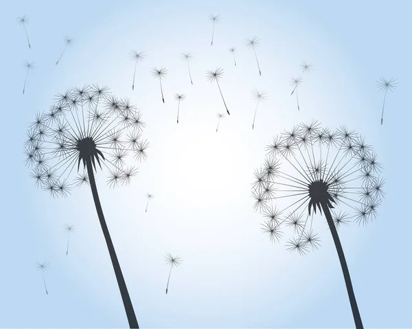 Flying Seeds Dandelion Flower Blue Sky Vector Outline Illustration — Stock Vector