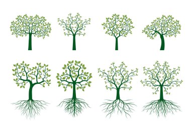 Köklü yeşil ağaçlar kurun. Vektör taslağı çizimi. Bitki ve Bahçe.
