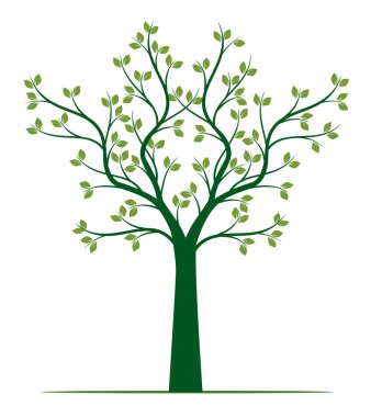 Yeşil yapraklı Bahar Ağacı şekli. Vektör taslağı çizimi. Bahçede Bitki.