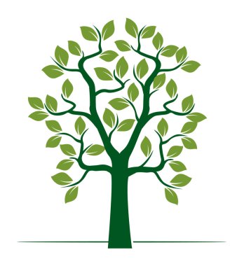 Shape of Green Tree with Leaves. Vector outline Illustration. Plant in Garden.