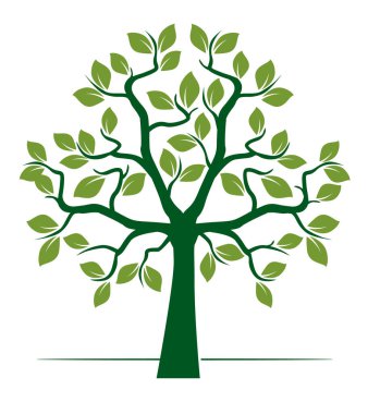 Shape of Green Tree with Leaves. Vector outline Illustration. Plant in Garden.