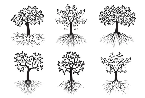 Kökleri izole edilmiş siyah ağaçlar kurun. Vektör taslağı çizimi. Bitki ve Bahçe.