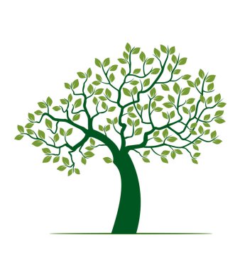 Yeşil yapraklı Bahar Ağacı şekli. Vektör taslağı çizimi. Bahçede Bitki.