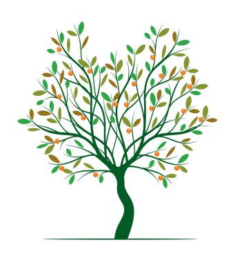 Yaprakları ve meyveleri olan yeşil ağaç şekli. Vektör taslağı çizimi. Bahçede Bitki.