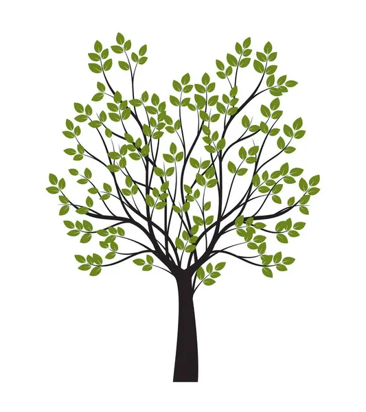 Shape of Green Tree with Leaves. Vector outline Illustration. Plant in Garden.