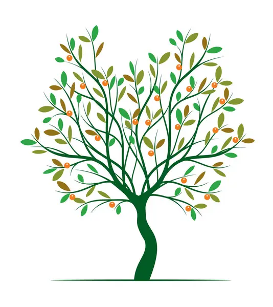 Yaprakları ve meyveleri olan yeşil ağaç şekli. Vektör taslağı çizimi. Bahçede Bitki.