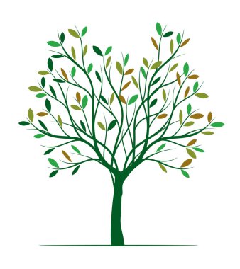 Shape of Green Tree with Leaves. Vector outline Illustration. Plant in Garden.