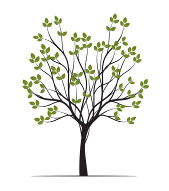 Shape of Green Tree with Leaves. Vector outline Illustration. Plant in Garden.