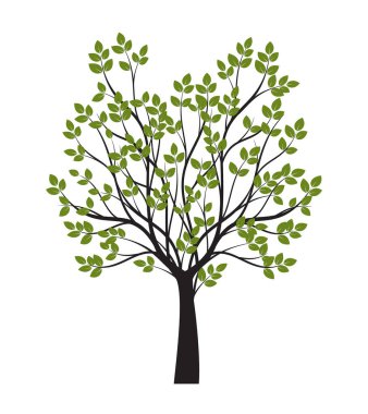 Shape of Green Tree with Leaves. Vector outline Illustration. Plant in Garden.