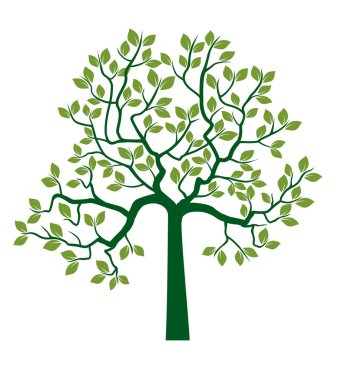 Shape of Green Tree with Leaves. Vector outline Illustration. Plant in Garden.