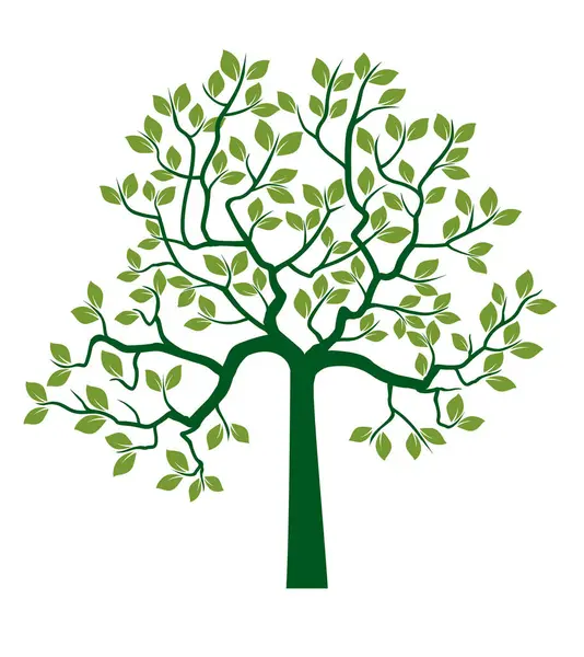Shape of Green Tree with Leaves. Vector outline Illustration. Plant in Garden.