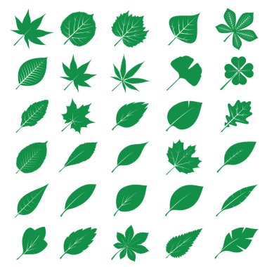 Yeşil Yaprak Koleksiyonu. Taslak Çizim. EPS.