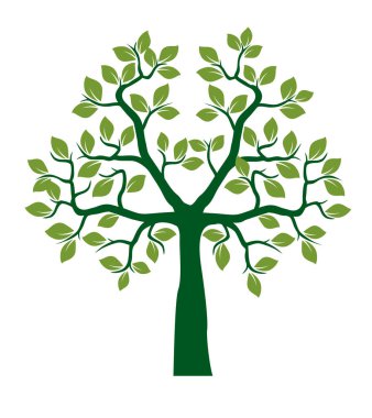 Shape of Green Tree with Leaves. Vector outline Illustration. Plant in Garden.