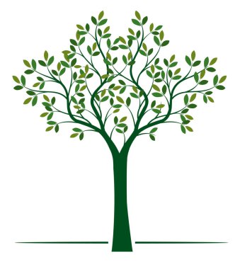 Yaprakları ve kökleri olan yeşil ağaç şekli. Vektör taslağı çizimi. Bahçede Bitki.