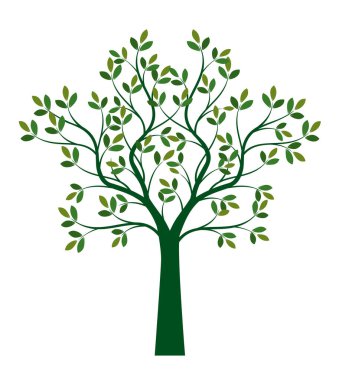 Shape of Green Tree with Leaves. Vector outline Illustration. Plant in Garden.