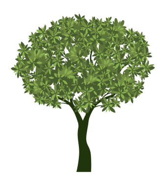 Shape of Green Tree with Leaves. Vector outline Illustration. Plant in Garden.