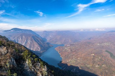 Sırbistan 'daki Tara Ulusal Parkı