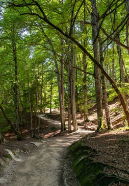 Plitvice Lakes Ulusal Parkı Hırvatistan 'ın en eski ve en büyük ulusal parklarından biri. Bu fotoğraf Temmuz 2023 'te çekildi..