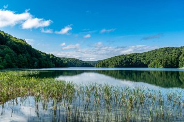 Plitvice Lakes Ulusal Parkı Hırvatistan 'ın en eski ve en büyük ulusal parklarından biri. Bu fotoğraf Temmuz 2023 'te çekildi..